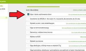 Jakie PIT dla samotnej matki? Ulgi, zasiłki i wsparcie, które musisz znać