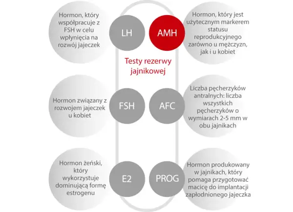 AMH to marker płodności. Czy AMH może wzrosnąć? Wykres przedstawia hormony i wskaźniki rezerwy jajnikowej.