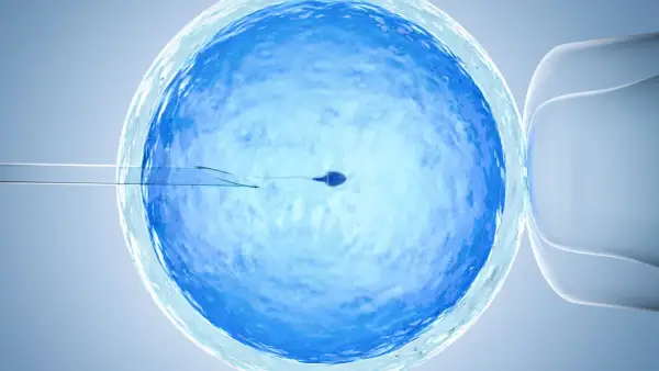 Sperm zbliża się do komórki jajowej. Precyzyjne narzędzia laboratoryjne wspierają przygotowanie do in vitro, tworząc szansę na nowe życie.