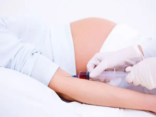 Pobieranie krwi u ciężarnej do badań, które mogą wykazać wysoki cholesterol w ciąży.